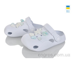 Кроксы Golden Lion